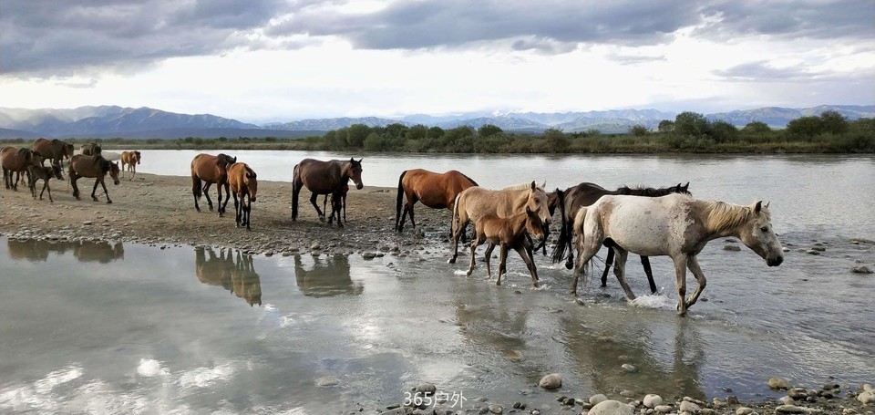 gfO-4fQOPzvK8Og50dhcH2Wt2yNeXt7xC0N69a0E5NvgPL7mB69O2a9g8d-AFIMw