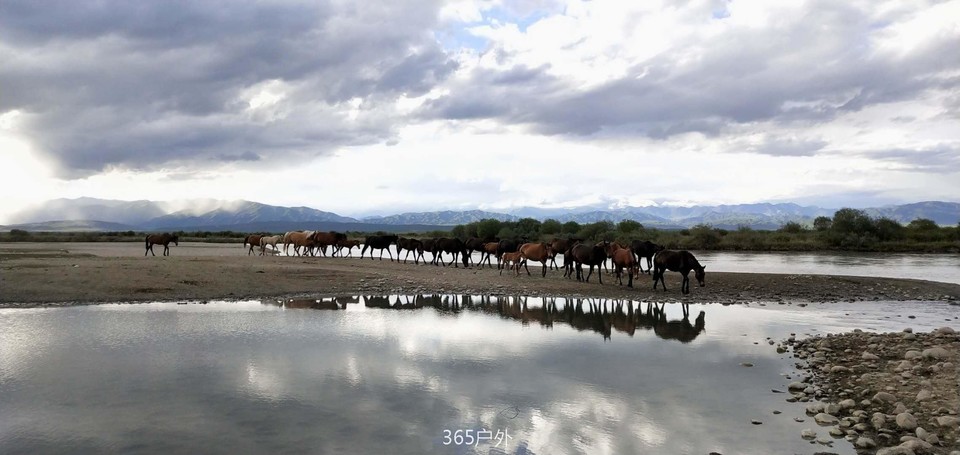 VFr0zpKOA_rZx8tYT4P_jtSqj5wmQpZsMZJ1ULw-467VztN9bfUg9NL55rtZ0siX