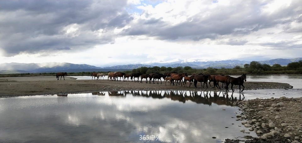 K1tYLYli7uqXHFOdVAGMMyNNzAxej4AReMh8-rIlyVLDZNaKZJMoacykOK5NTM1p