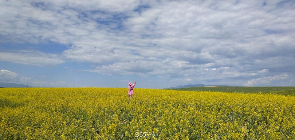 IMG_20180614_115440_Burst01