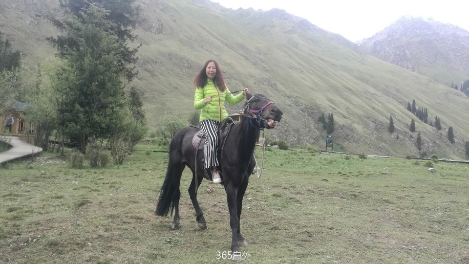 IMG_20180612_154038_1