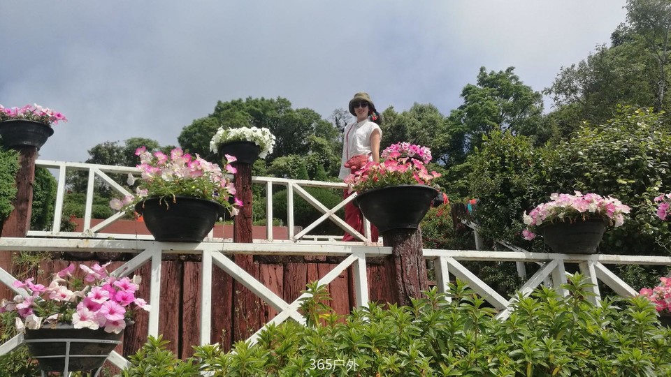 IMG_20180310_102500_1