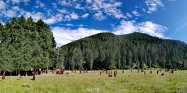 bRCzYPd5ipbLYJ--kYlVO0jEoJAaBYn-t0KIs6gn5lBIM5hXQpXVn_Lum93_xaIj