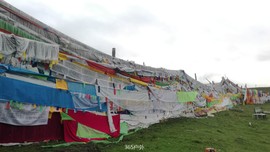 CebVGs6ttMg3cCyb0Q2Ve3LEtTEfM7ryadZqMGNOzmMLhiIsHq17bbELHVwiNjdV