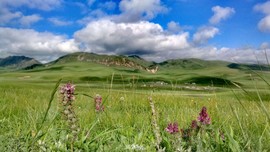 Obfoi1PNpaiSkKmeotBuNp9p0a85yGrfPIE0o2TDbZq1ql5Qv4afghrbRlbNGCwG