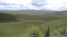 Rfuve6G5neDp2WmQAYS8HbCeRJ5hk6scEDpm3R0KgysY1OZH5lJQ8-iBp7qaD1W4