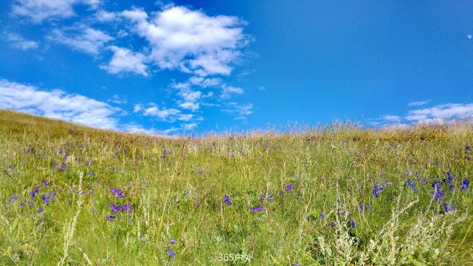 7I4hNazMJZ5Ex6M4kZrNDj8h5FVAwX9zeM-eBxBObiDGSfwVDV_dWUT_KWKTZ62Z