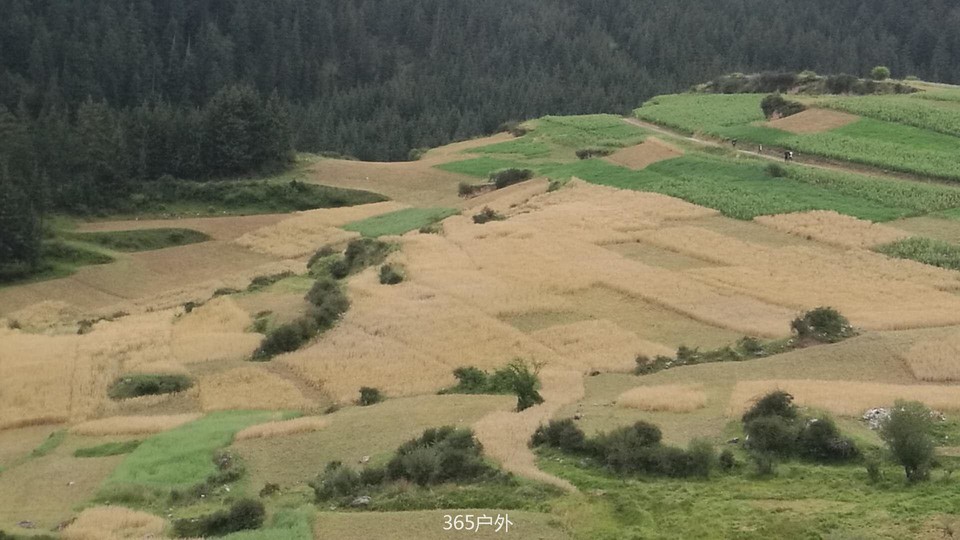 IkkuIhCg8Pn2-_KJR39ZbY4fbpLD1RemuOEuM0FMrbgmfkAkTdmrqg-BqIddCHPn