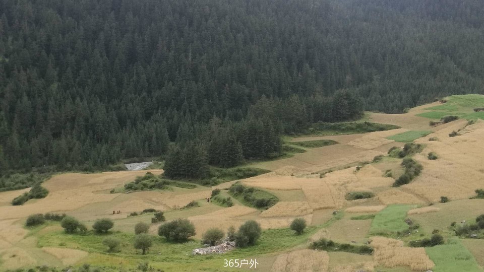 sGE8vstUYeXYFLn7O8jQXoDrIPMhWV2jZODiXXl-gHXp069CG0jeWe4GIH-tqq7s