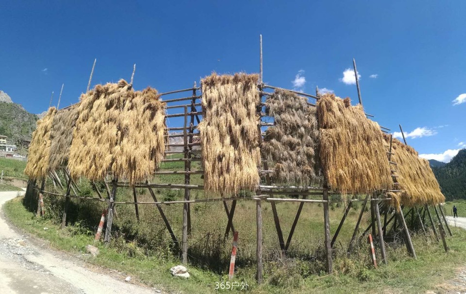 mqrVdhEwA64S_a6ruUhMjZdwTXcCXO0IkTDJptlXbRgPgAQ0-0_YRRt9fS9G1rM1