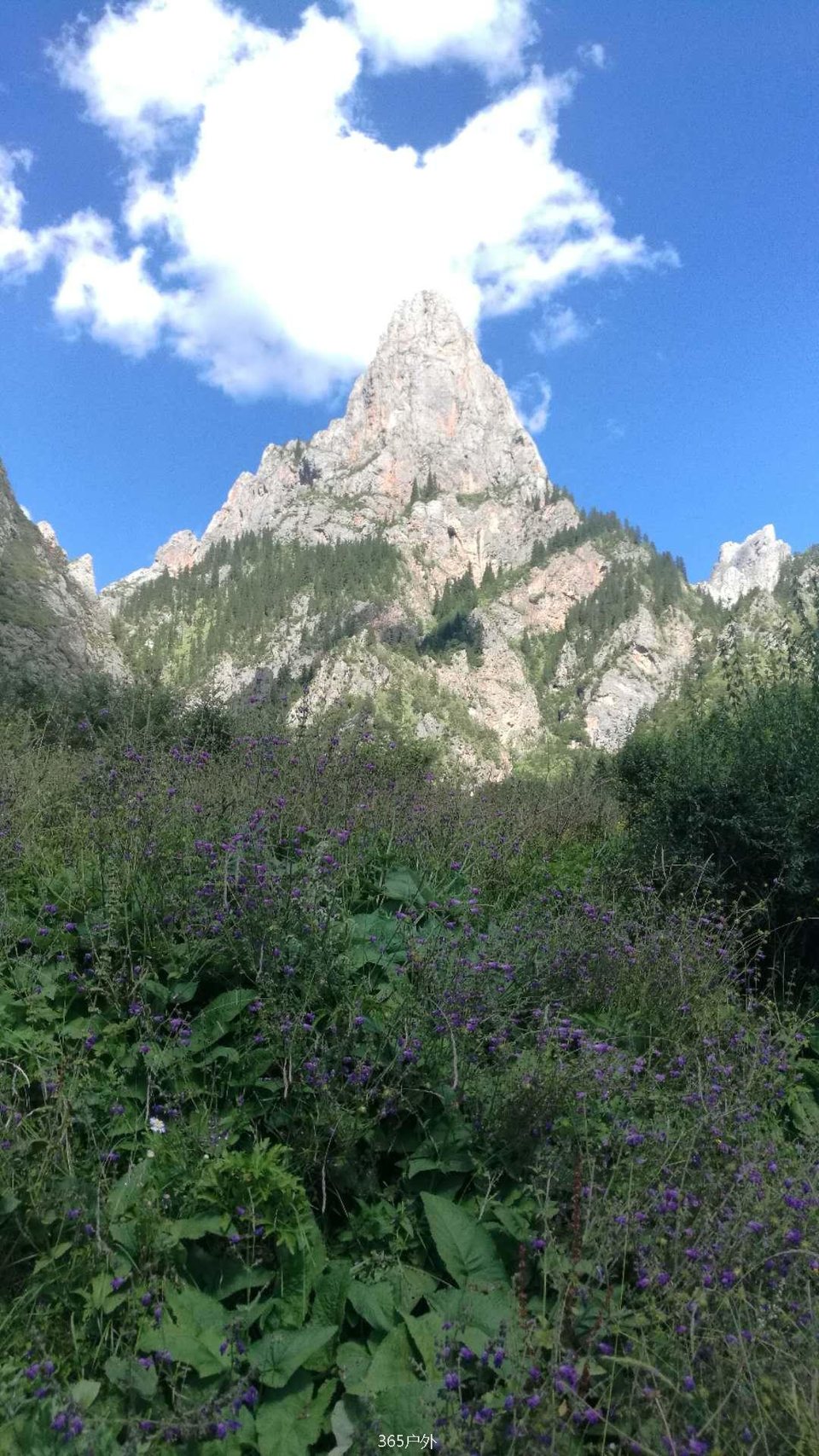 AgqNU8eXsgF7xK9L8RJ4Tot14f3cV4m_HVxgYEdY6WvnWFKf9cgYsG-JmBkbW7f1