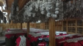 SrS2OG_7o3y4XyKH3NhN1ryog45PAGKCDhTzjWrP6RcAOSXb5ONOUEOb9vkRbxWw