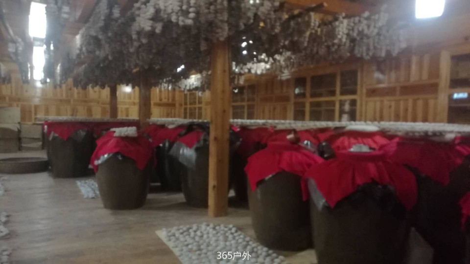 VsOWCZLz45PDivJYTUkNRgc7b0RPL8ww-CIVHc1z3SAfRl5JWhz8ZAqusr0ZmneU