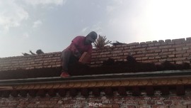 xsZ7LIulmxwe3AR9VBFlIRv4w3O0TWxN6NpcTWjH7BuZjCSa2hBZSOxGKED0pG3d