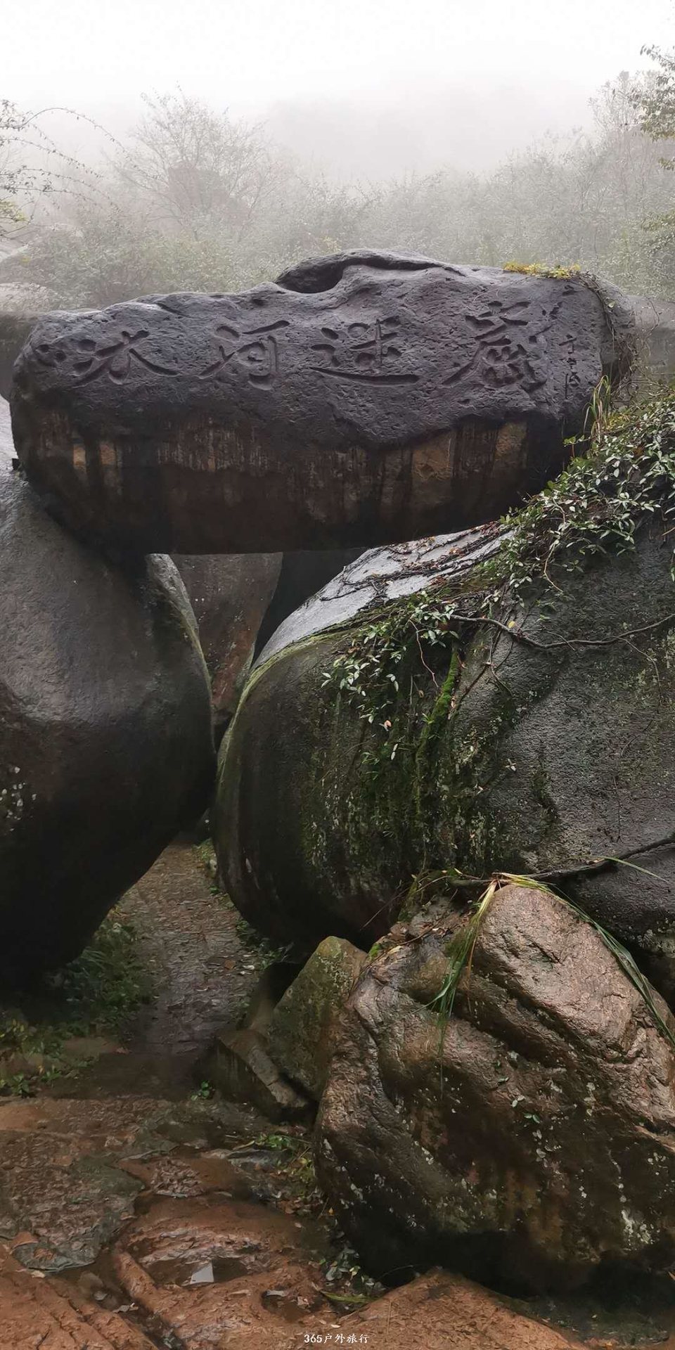 29jVYqvg-tQpiIbTAJIuSbLzCyefotVN6nGzZtbRl_jDAVWYE6AIWSySa1aHtlf8