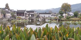 6zQP288CZVMouiq3L2aXWf4WT1bfoxpYzxCXFbdmUZ7HNRmqG7pomLlTOpZq1Rlp