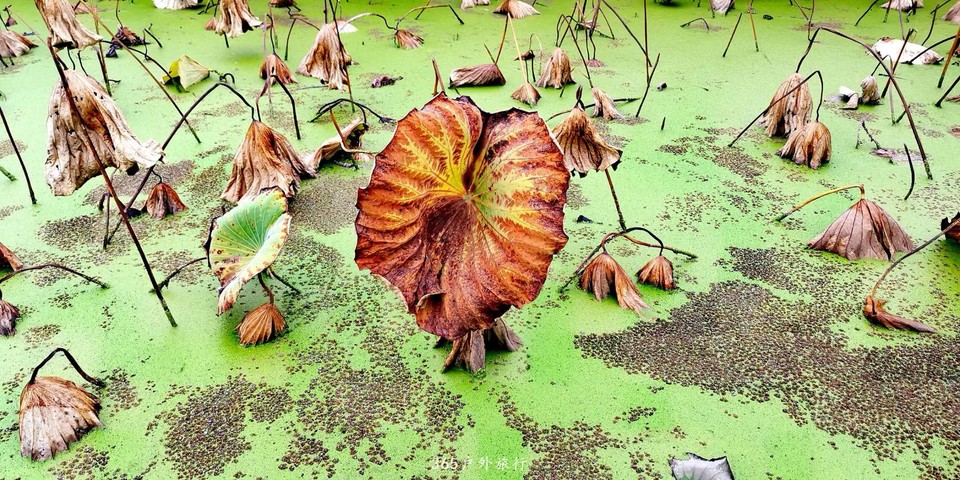 5kihA-RzzZdligLqcZhJQ42Zj03l2F-Vn1BhB1kIZ_cxXjD97DVWo6iVlw9DUH99