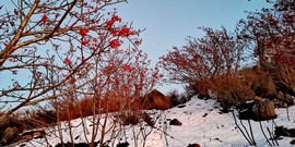 khScBKknjW8PE8rPp4EAJrSADewWLBrM_TxzzlPDU8ohP4LgVLf1SWfCnjMJlk8n