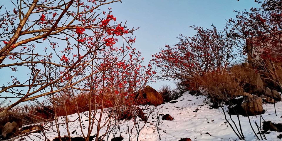 khScBKknjW8PE8rPp4EAJrSADewWLBrM_TxzzlPDU8ohP4LgVLf1SWfCnjMJlk8n