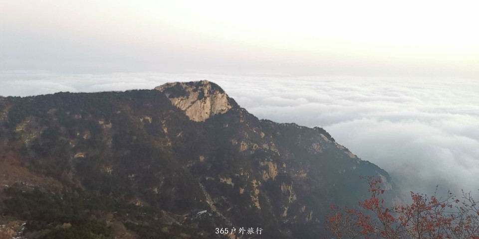 XRLmqd2PQlJSAD_7wYG6-BZIEeu4vEndJyBHKnN1R3Fu_PEjFmjJ0OVWOWxSrOln