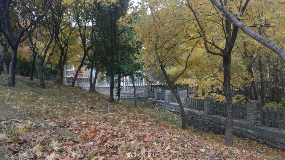 ZM888VR1NpGSUPuFM3yWTaIWcC0DDRG7v5pBtjyMs_eeMMJV4PpFYOTuxIVpOI2l