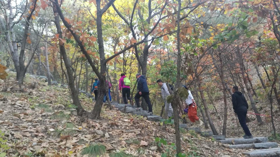 40rdjWrbFd7RixX2vKzFY0obFAxZGN9hiLvM4UjXr-NV55QrJ9XPMljC--031GH_