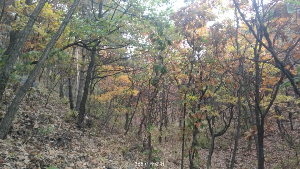 vZe98IhJ4UN0tnULPOCgCz-_SMS_goUYTuJfuRRKl6HTqMVsp6zFfB8WrbjIaOrx