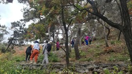 YgwUk021n4j9wTVVt6mIoa7WaeKmhhUtCvTtGvs8ClECzEtouohox3QEFbY0SD5g