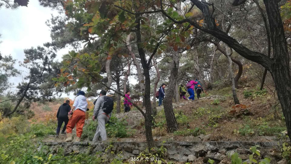 YgwUk021n4j9wTVVt6mIoa7WaeKmhhUtCvTtGvs8ClECzEtouohox3QEFbY0SD5g