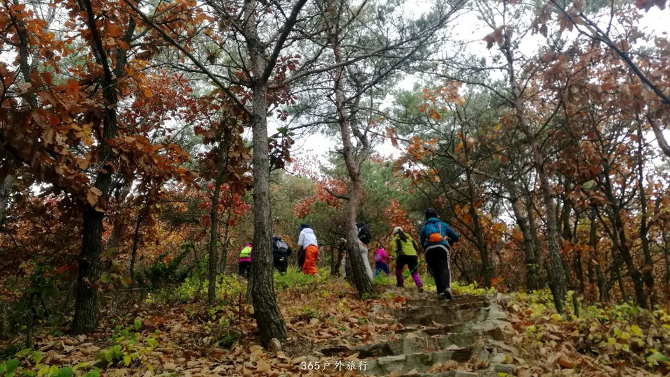 WW2raGrMsn8LtEEcoiJ8QJFzDIluM1f-OL5kSMSQco9UVA_ToNX908BXevYnWsqq