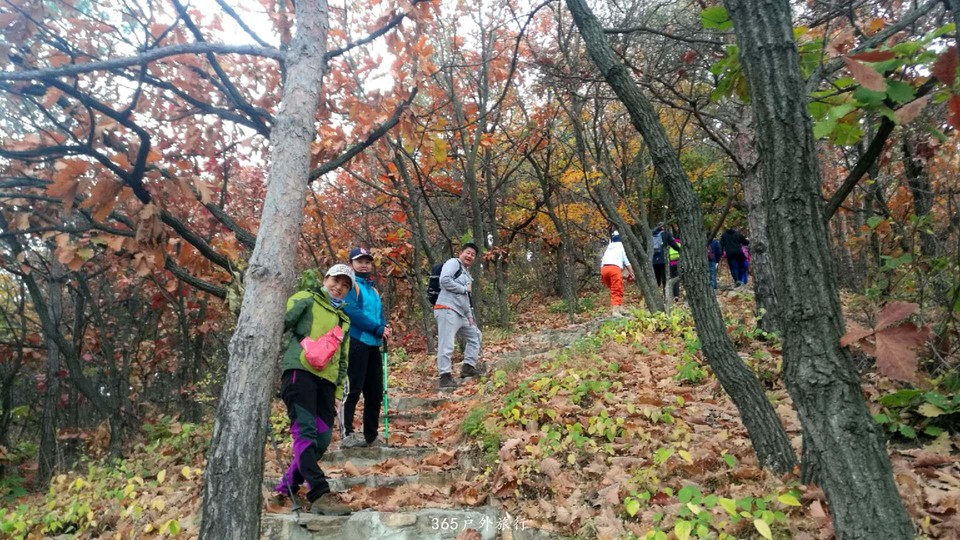 woUow-HJKGA32sCYdgUzmeXnDc3Ms4JNA2tDZnIaUIivyFdCSxrLgxYOLu2cAYwi