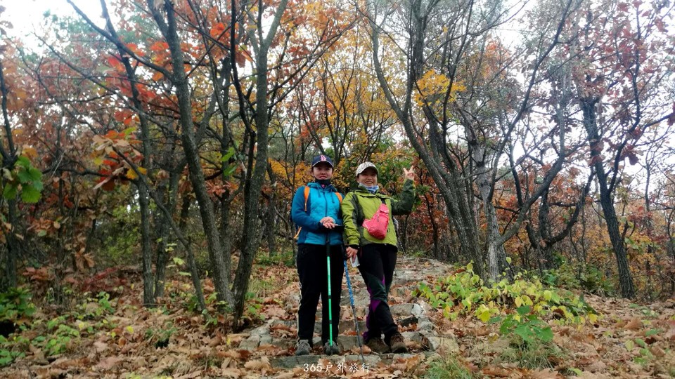 AD5q2wb2nOpSKSDyRypwY_54eHy_6_Y90MIxLAd86j0Xs67TxFWJx-7y1a-A-o4F