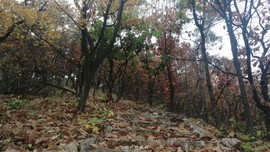 tTTXQeegIf3J2bUpEFv7Y4wBrJaO8f6PttU3G65awNP4FJ_ZTV2IPR8m-PBEf0hb