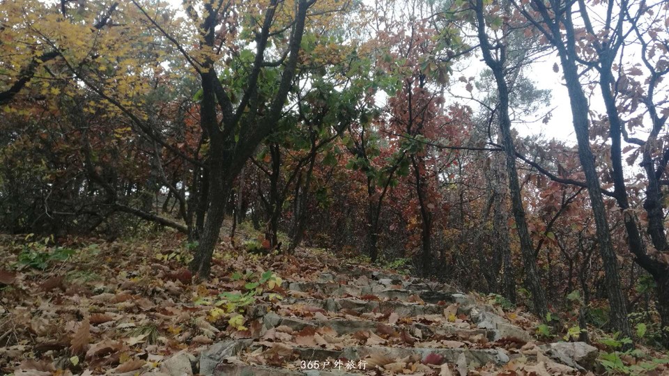 tTTXQeegIf3J2bUpEFv7Y4wBrJaO8f6PttU3G65awNP4FJ_ZTV2IPR8m-PBEf0hb