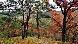 v0m6so92Heqsj1gBGhnuPA-ucATRKfm19AASj0vCqPR2GbtsOHI_snZS6Q8B6oDX