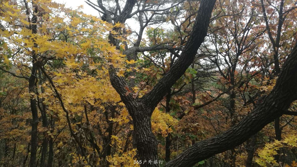 7OgQFJjVC_naA0yxTJkqJTjg0pzJ46jVtwaPvFE87jY-q5vAYbJlmwaRuMMy1u82