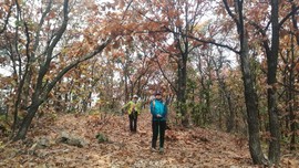 MjYIE66mpwBCSXhg3zlBPQpMlQ2cMc-3Kzr31vSeM-PKvxruQdWbciRZ8zvK6x6C