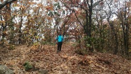 UPBJRFMNwM7hlPVsyMUAsgIRUWVJdWb0YwdEl4FMvWIQ_RFvjLn0v7OCSR_3P8Dw