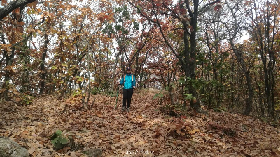 UPBJRFMNwM7hlPVsyMUAsgIRUWVJdWb0YwdEl4FMvWIQ_RFvjLn0v7OCSR_3P8Dw