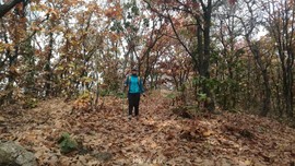 uhA_xj5eoaMYsjN6Z1U8y3l6oXk6D8QlI8h9dOc9B5Wd_VXZwVTFNJ0Dl91Ua8-5