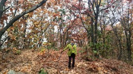 Q1zQFGOSrjQ7xDP1dkLjppjar-JSeRKMaglSpav8gNcXI39l4MfsngZqgV3sTkOh