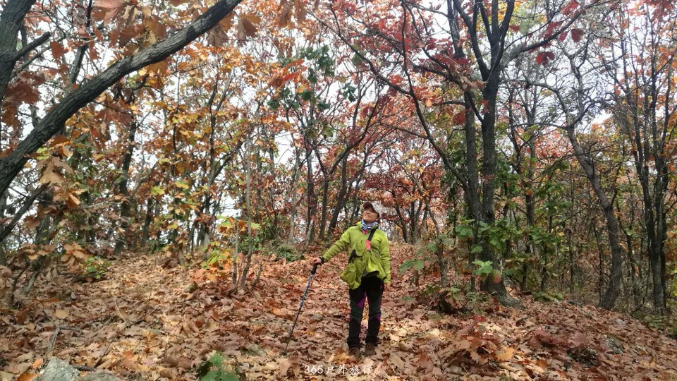 Q1zQFGOSrjQ7xDP1dkLjppjar-JSeRKMaglSpav8gNcXI39l4MfsngZqgV3sTkOh