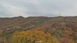 8gjeXA8ZWJkLG46k0uRAgiMby9S2B6G7GZo-_TEuZny3ZFvH7BSVZXY0NOfASKyM