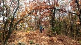 2kOpJJTFmp-A1WigOM-e_CXR4bb9nHsvA5mkxC8YDsYocRHxE_qLUFNPW-YEx0Gu