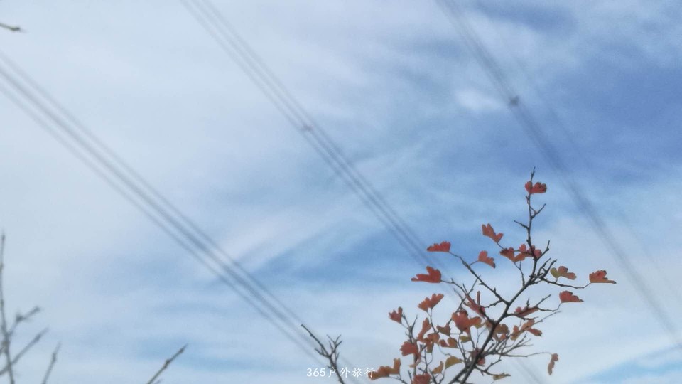 d99YBN69hGbgS3XjxVOsnxoZdaZLTlrh0CUrV0b5-E-dMSyFMhlLsyOS3jeuJ2Bb