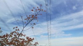 MPdczEU4L7ka-t0JE5ODTMEvzkyMYnOx8bV6lbNgmHiEYBchQY_G_Eff5HKea3dh