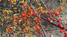 h_SV1At6v_iWFr4l7u5oHTq0hU3zO3QNZ8hodVIwh7HtnLo5V54OgS5JvzIzg8oC