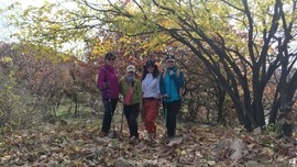 98jKLIavnqLKAln9aOCHxjz6WbD2FinbKHndh8l_Erv5X1_7qrXxeGjfSnUggLLH