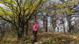 RivECjkuQaPDpFVD51noG74EOl4iNGI2fuRuDDgpPMIrDHqSUjQ5shVfd-NHv24j