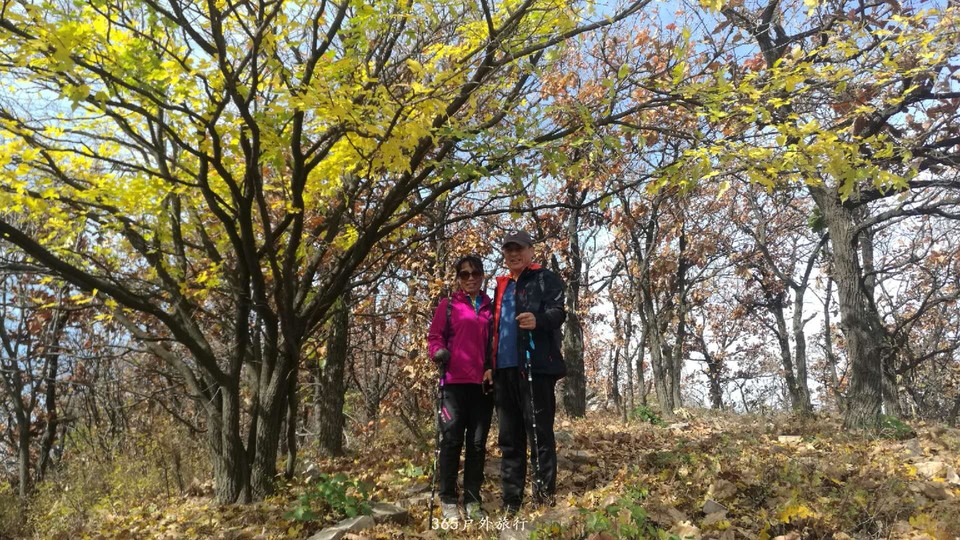 duoCLtZktm0Yqyp_4sw9a1VMtEshKNo9Dh1QL_qPK6i5DwX49Pe_6L73d1gHinso